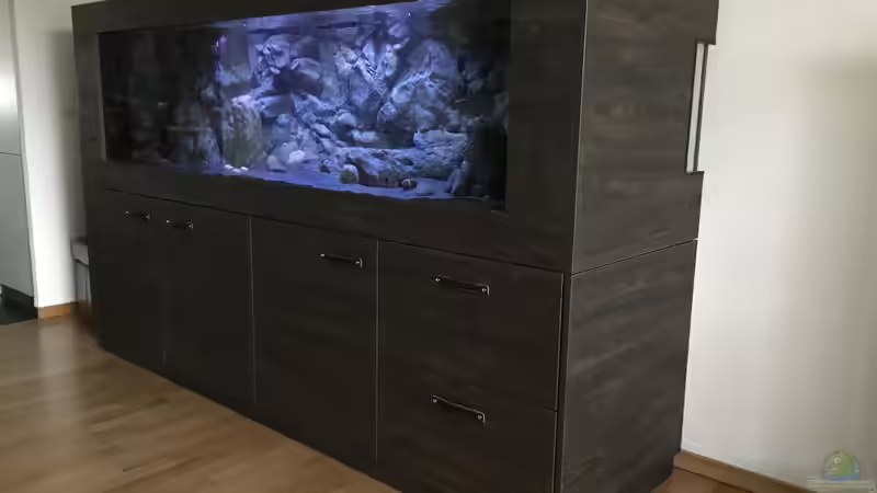 Aquarium Malawi Retro Becken von Albert (3)
