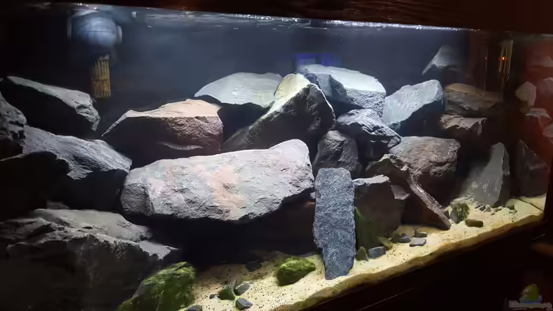 Aquarium Malawi Rockzone von Ebi (3)