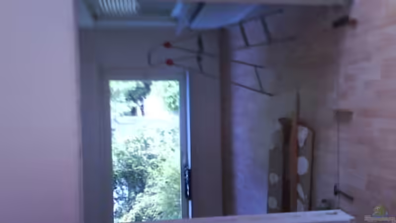 Aquarium Malawi von Andre Spieler (4)