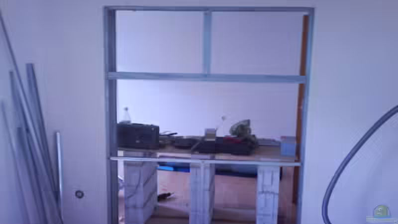 Aquarium Malawi von Andre Spieler (7)