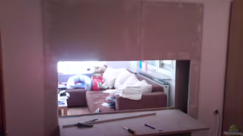 Aquarium Malawi von Andre Spieler (8)