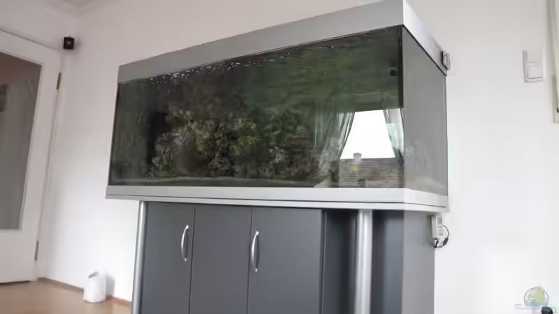 Aquarium Malawi von DawnInMunich (2)