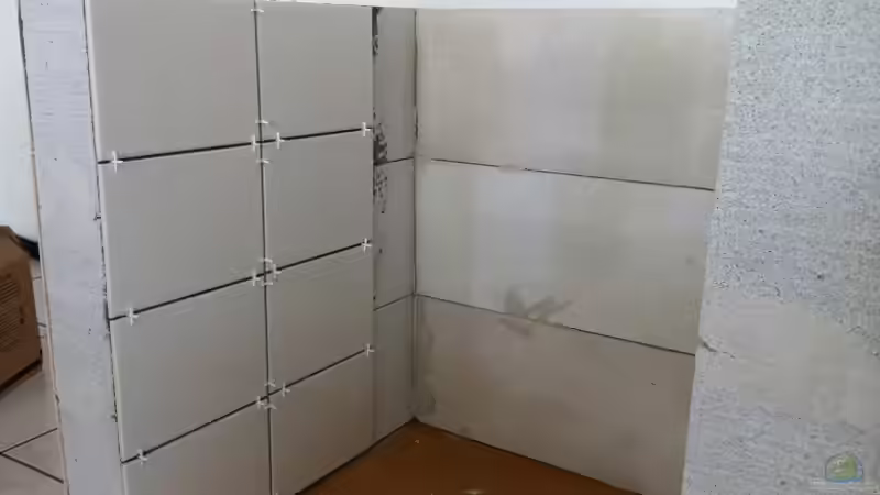 Aquarium Malawi Welt von BAD666 (4)