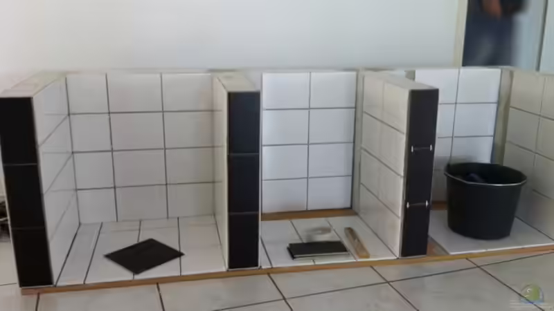 Aquarium Malawi Welt von BAD666 (5)