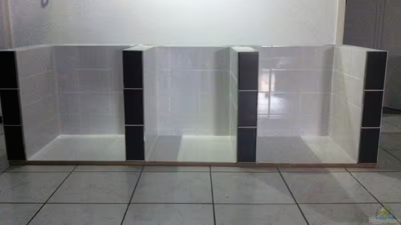 Aquarium Malawi Welt von BAD666 (6)