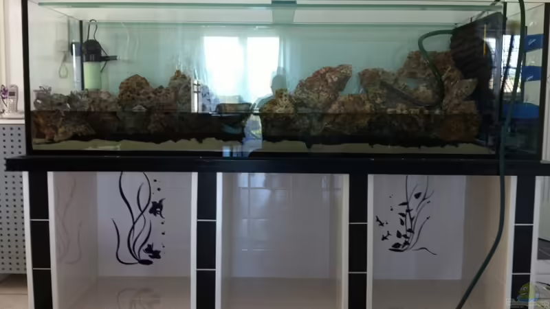 Aquarium Malawi Welt von BAD666 (9)