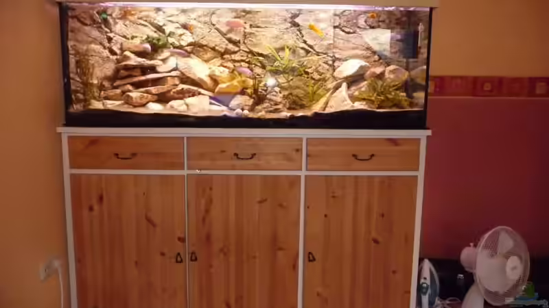 Aquarium Malawi XX351XX - wurde aufgeloest von Stefan J. (3)