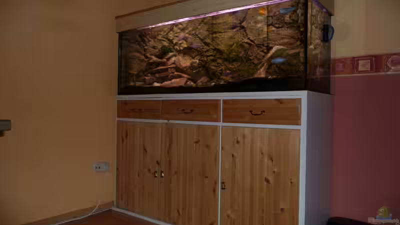 Aquarium Malawi XX351XX - wurde aufgeloest von Stefan J. (5)
