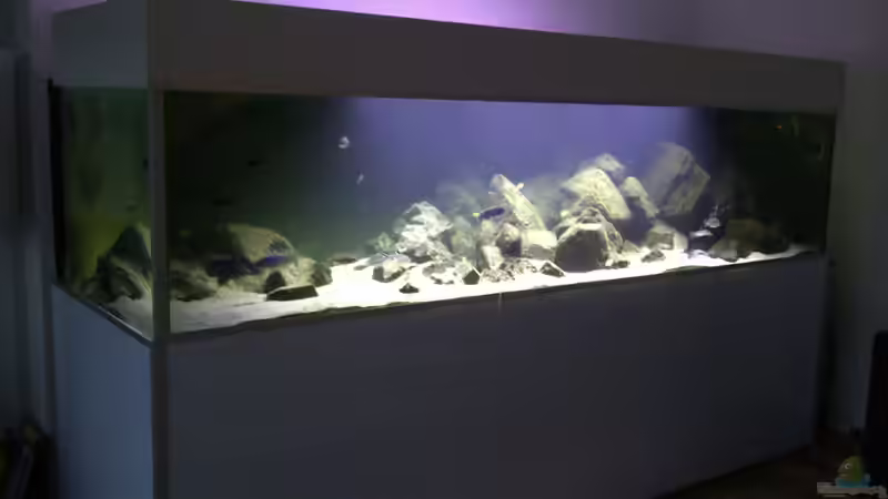 Aquarium Malawibiotop - 1.400 Liter von Cariba (2)