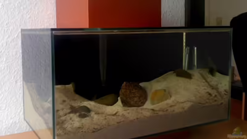 Aquarium Maola von Getreal (4)