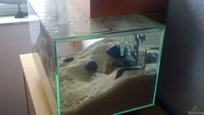 Aquarium Maola von Getreal (5)