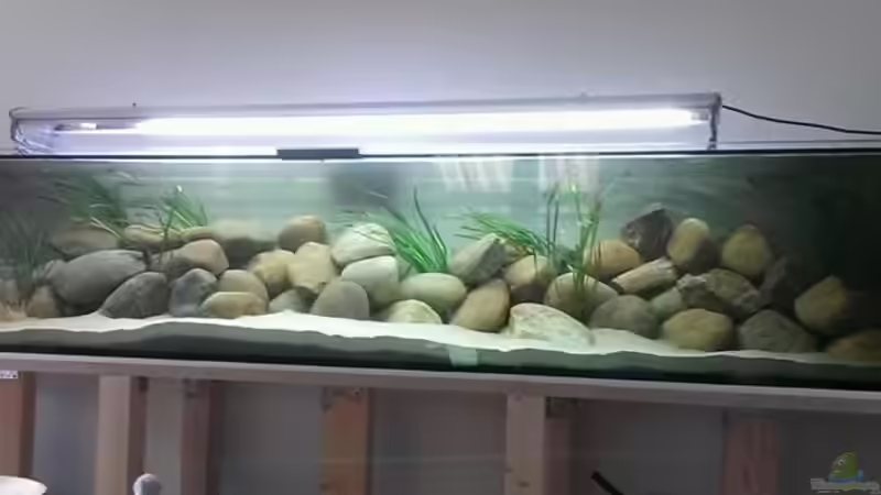 Aquarium Mbuna Bay von AfricanBay (2)