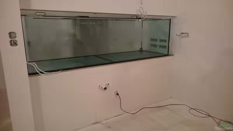 Aquarium Mbuna Bay von Nina Hutter (7)