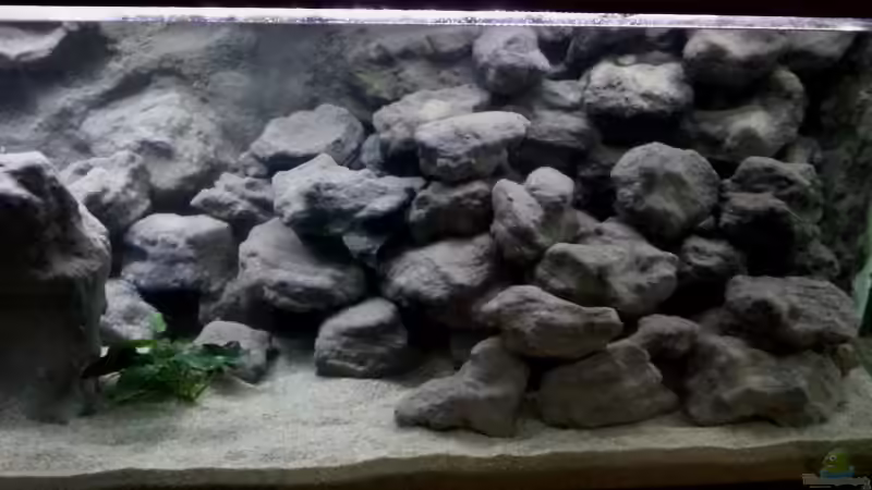 Aquarium Mbuna Becken - noch in Arbeit von Mister Fish (12)