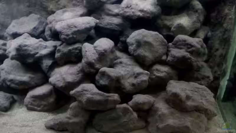 Aquarium Mbuna Becken - noch in Arbeit von Mister Fish (15)