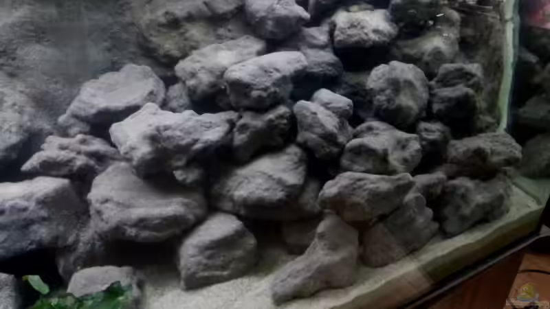 Aquarium Mbuna Becken - noch in Arbeit von Mister Fish (16)