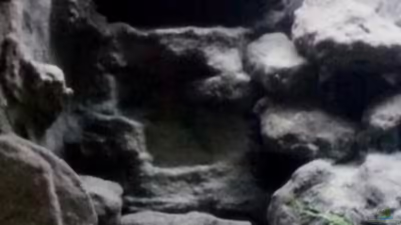 Aquarium Mbuna Becken - noch in Arbeit von Mister Fish (3)