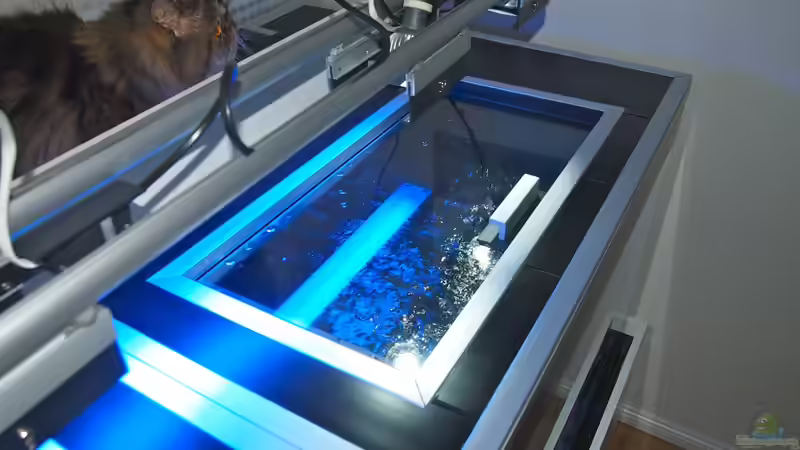 Aquarium Mbuna meets Basalt von Andriko (4)