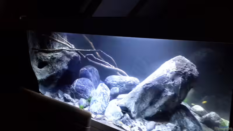 Aquarium Mbuna Resort von Volker Nause (7)