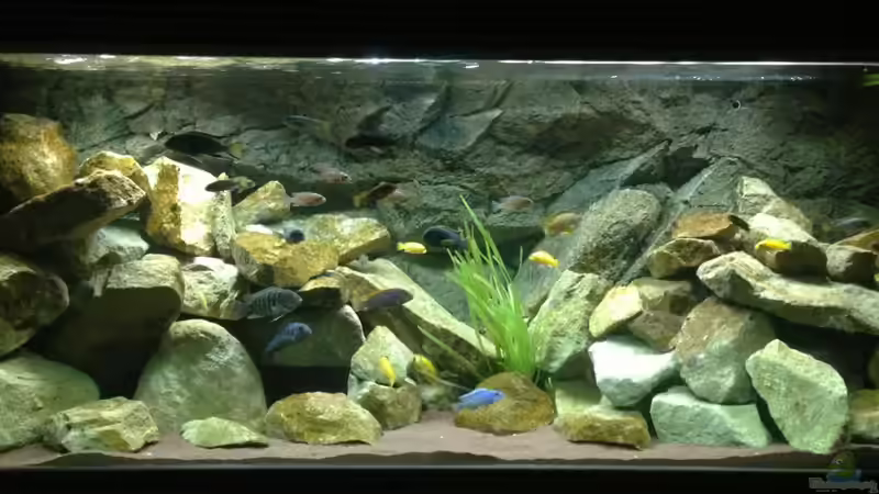 Aquarium Mbuna Rocks von Green Zebra (4)