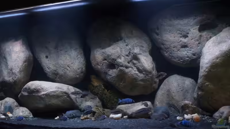 Aquarium Mdima mchenga von TheToxicAvenger (10)