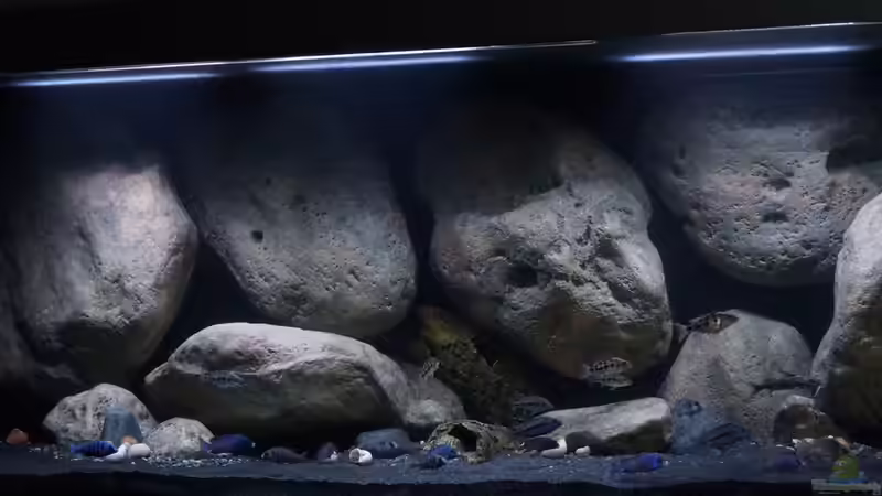 Aquarium Mdima mchenga von TheToxicAvenger (11)