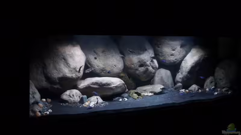 Aquarium Mdima mchenga von TheToxicAvenger (8)
