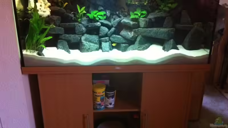 Aquarium Meckel´s Malawi Tank von Meckel (4)