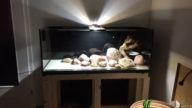 Aquarium Meeki Aquarium (aufgelöst) von Lutten81 (4)