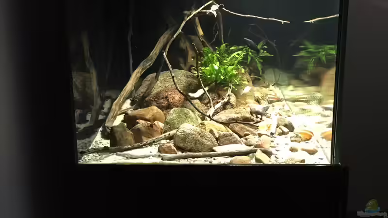 Aquarium Meeki Aquarium (aufgelöst) von Lutten81 (7)