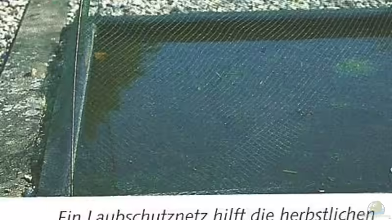 Aquarium meets Teich - Geht nicht, gibts nicht!