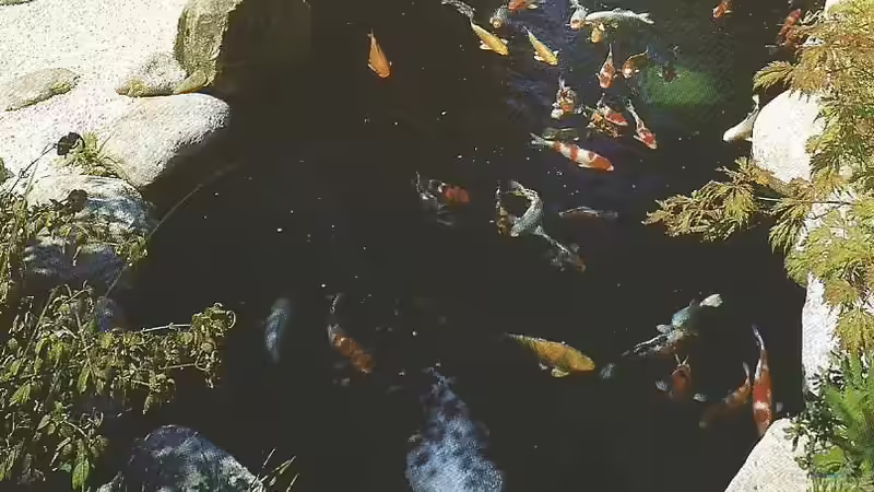Aquarium meets Teich - Geht nicht, gibts nicht!