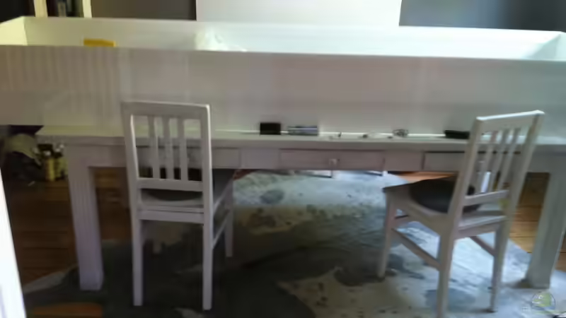 Aquarium Mein altes Malawi von Dynnarts (6)