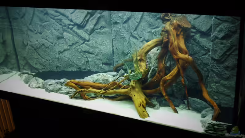 Aquarium Mein Aquarium von Jah Gaid (2)