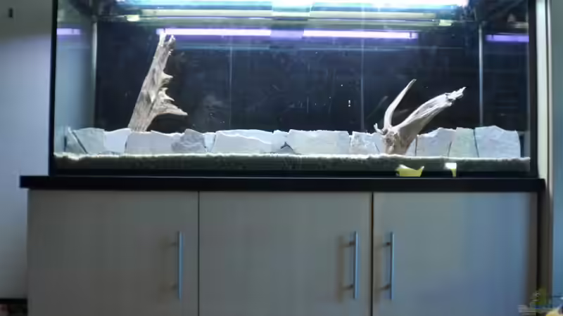 Aquarium Mein eigenes Stück Amazonas von Andy90 (2)