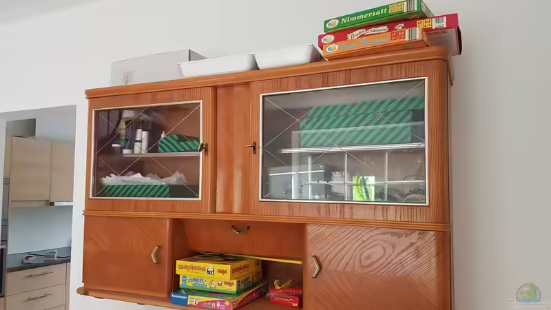 Aquarium Mein erstes von Rinchen84 (14)