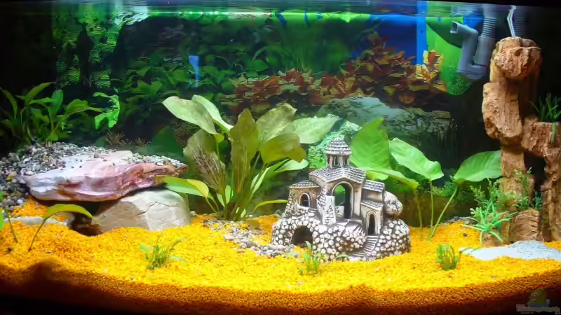 Aquarium Mein II. Aquariumbecken von Kleene69 (3)