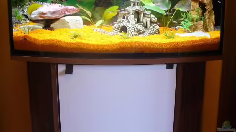 Aquarium Mein II. Aquariumbecken von Kleene69 (4)