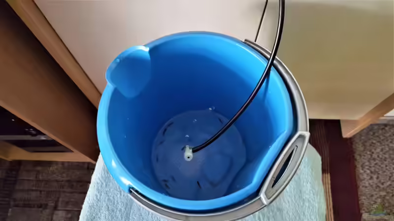 Aquarium mein kleines Garnelen Becken (aufgelöst) von odin 68 (15)