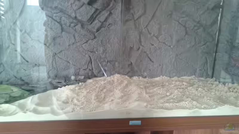 Aquarium Mein Neues von Deoroller (5)