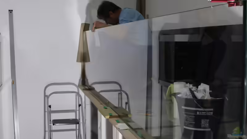 Aquarium Mein Räubertraum von RalfB (10)