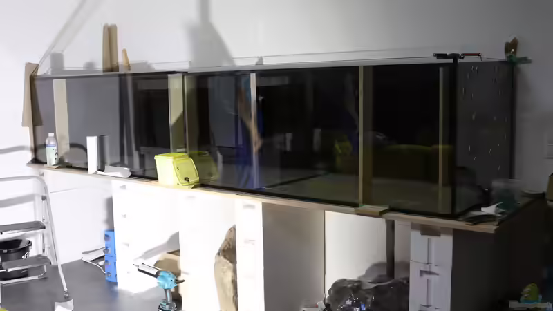 Aquarium Mein Räubertraum von RalfB (11)