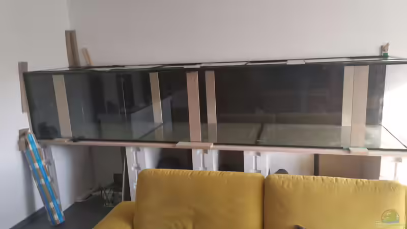 Aquarium Mein Räubertraum von RalfB (12)