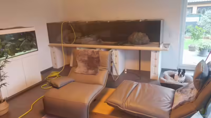 Aquarium Mein Räubertraum von RalfB (14)