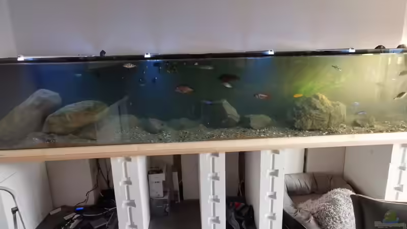 Aquarium Mein Räubertraum von RalfB (17)