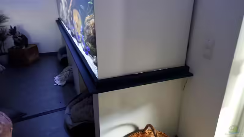 Aquarium Mein Räubertraum von RalfB (25)