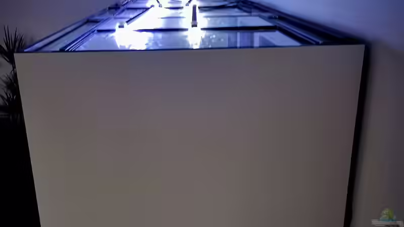 Aquarium Mein Räubertraum von RalfB (26)