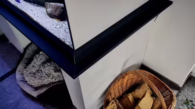 Aquarium Mein Räubertraum von RalfB (27)