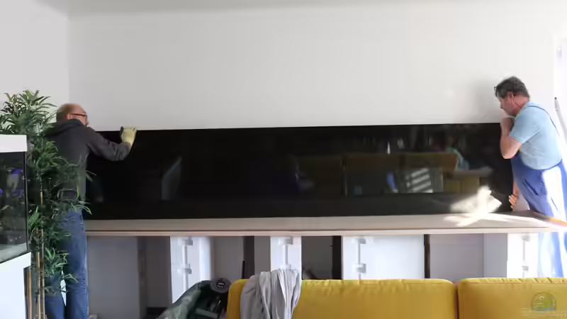 Aquarium Mein Räubertraum von RalfB (7)