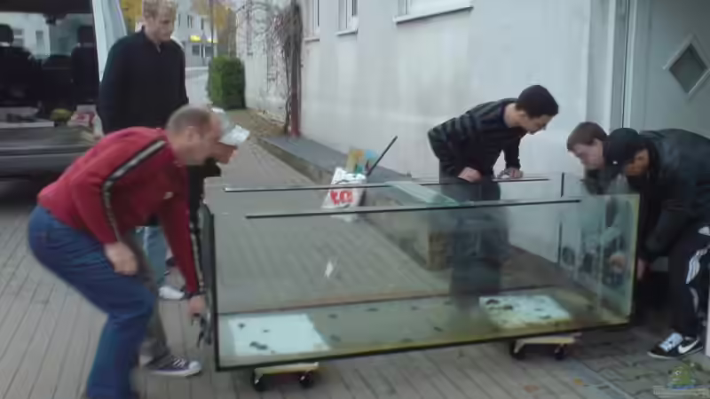 Aquarium mein traum von breakfastklubber (3)